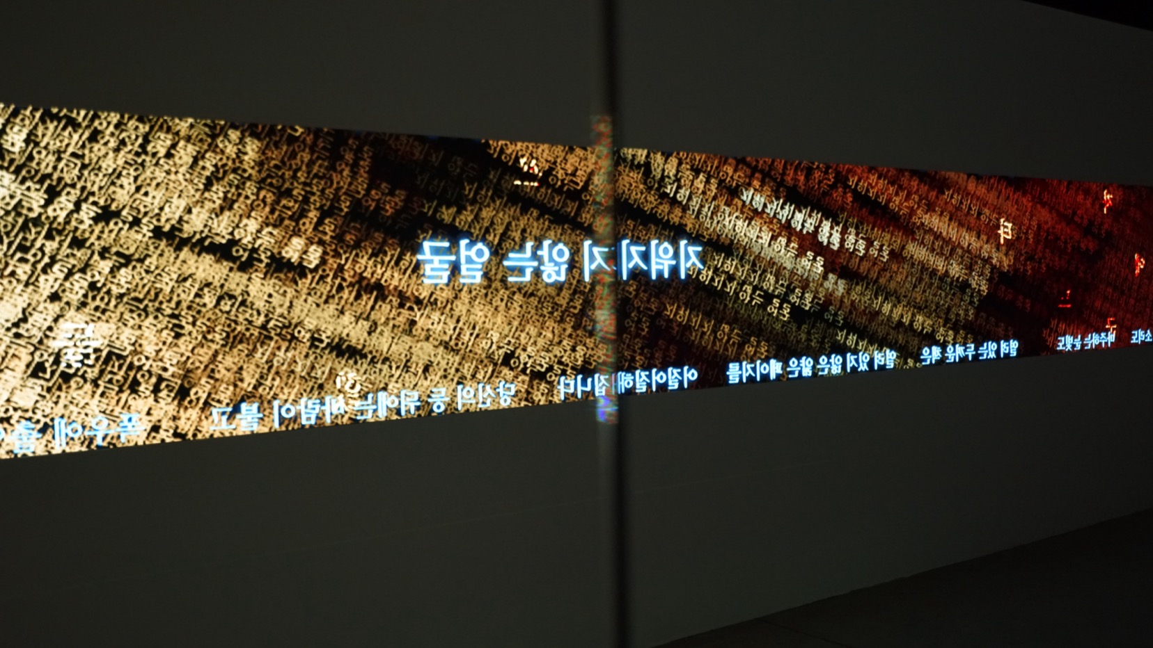 -_DSC4505.JPG